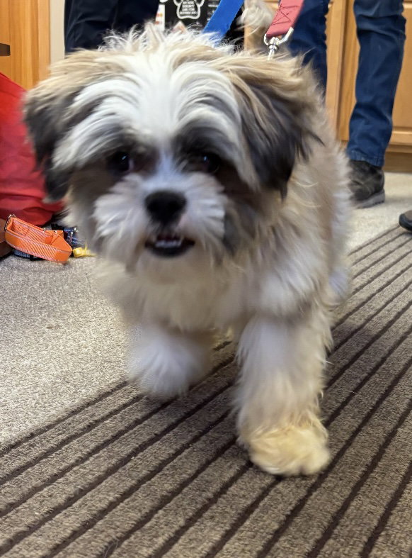 Oakley - ADOPTION IN PROCESS