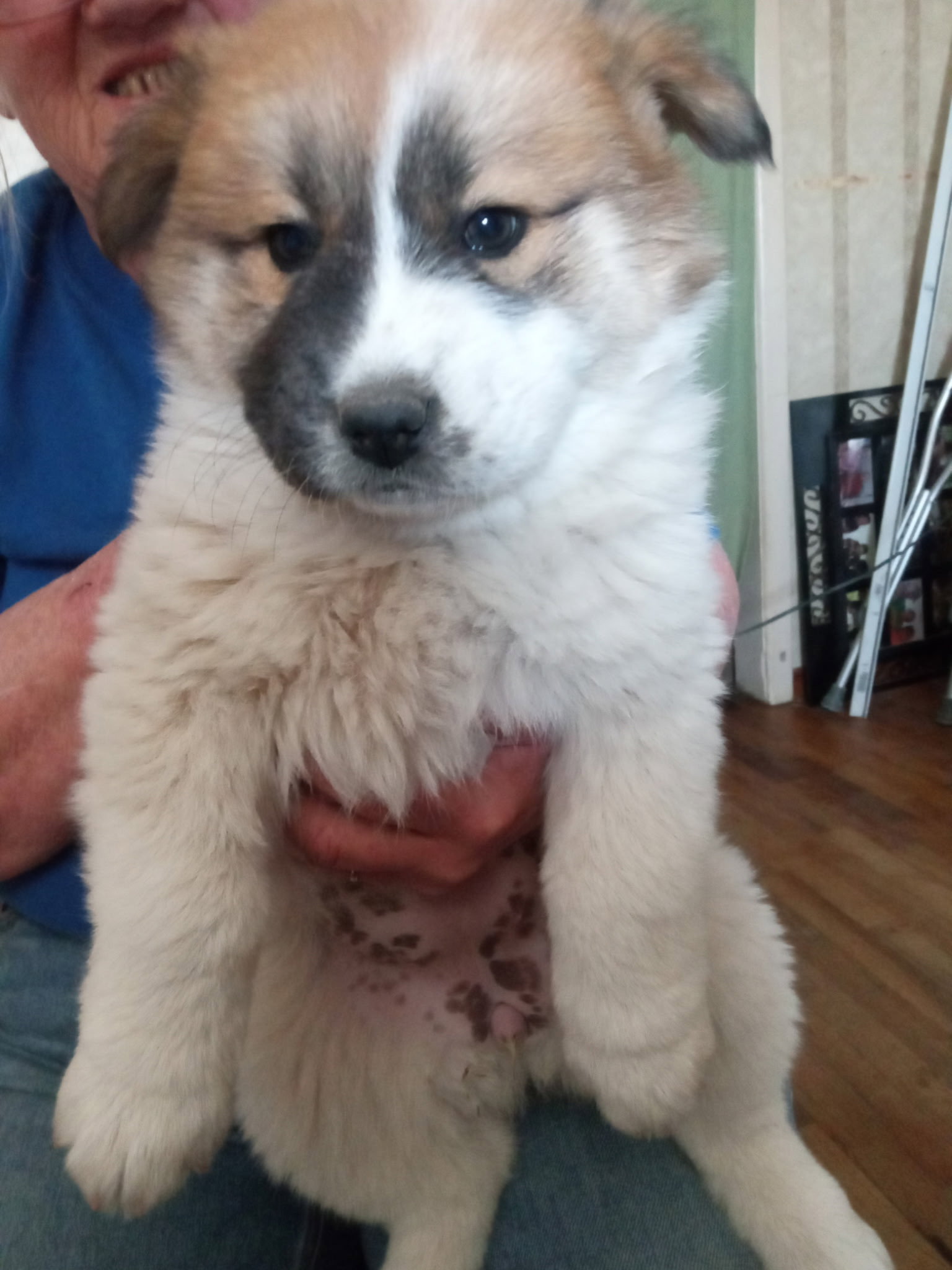 FOSTER ME - Sandy
