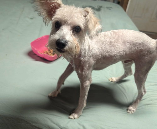 Usher - ADOPTION IN PROCESS