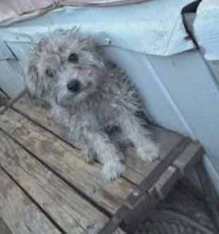 Usher - ADOPTION IN PROCESS