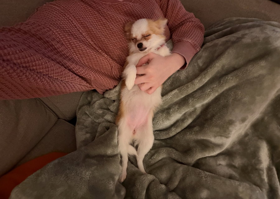 Gigi