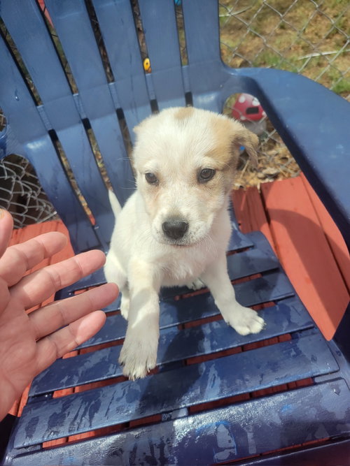 SPONSOR OR FOSTER ME - Mo