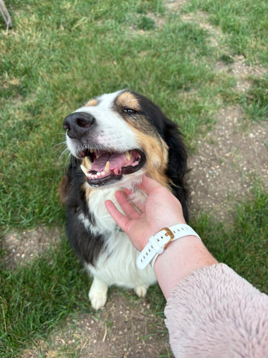 Nonnie - ADOPTION IN PROCESS