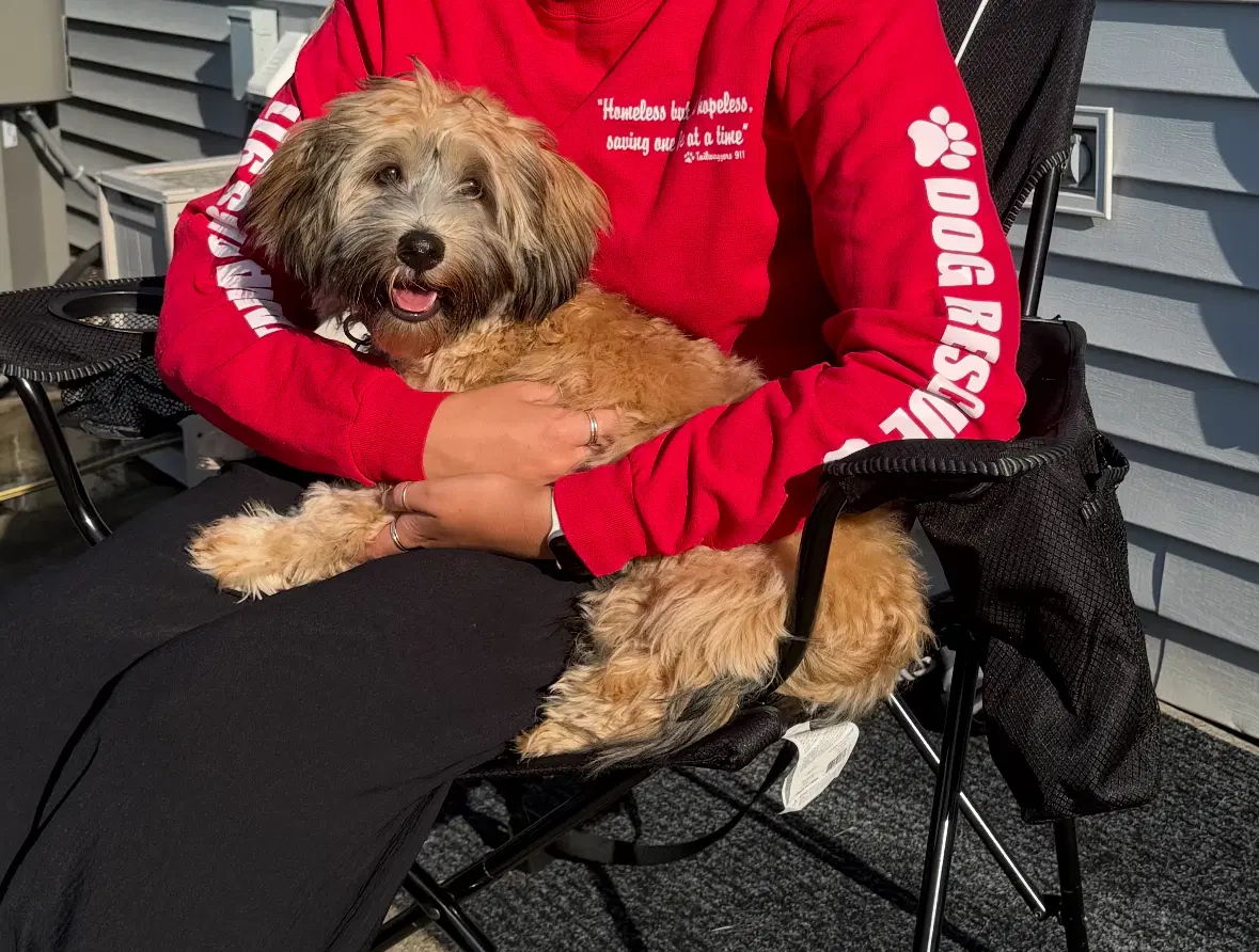 Finn image 3