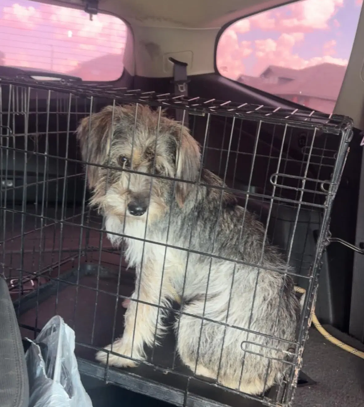 Otis image 3