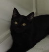 ABBY - Photo 3