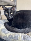 ABBY - Photo 2
