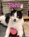 TONI - Photo 3