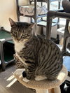 Lindy - Photo 2