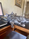 FABIO - Photo 2