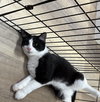 WALKER - Photo 2