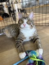 EDDIE - Photo 1