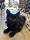 WEBSTER - Photo 1