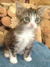 Skye is a beautiful tiny girl
