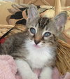 Sweetie is a sweet boy!