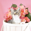 Sweetie is a sweet boy!