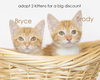 Bryce beautiful gold eyes