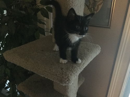 Nickles aka Nikki