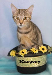 Margery