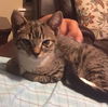 Pixel