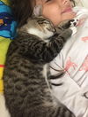 Pixel