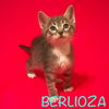 Berlioza