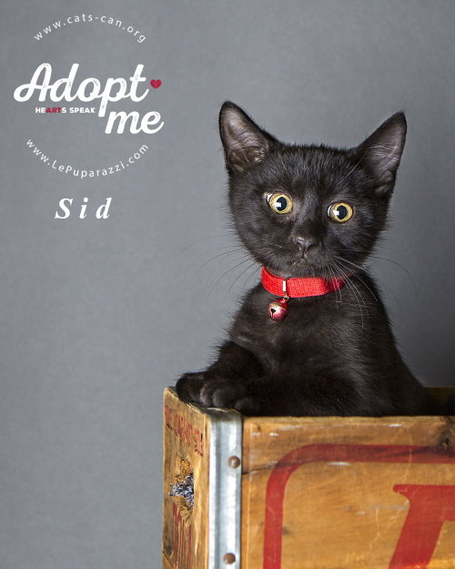 Sid