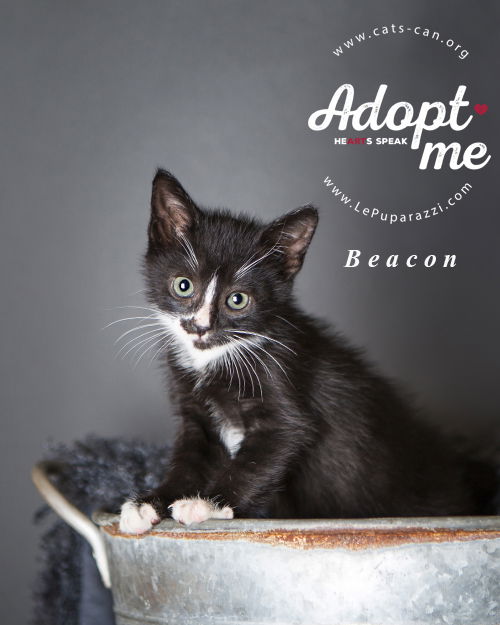 Beacon