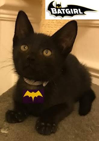 Bat Girl