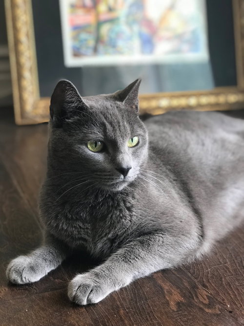Sophie