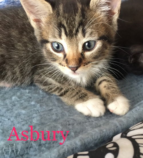 Asbury