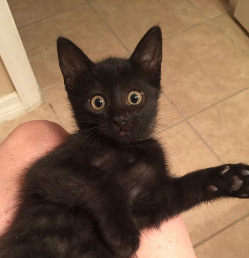 Salem