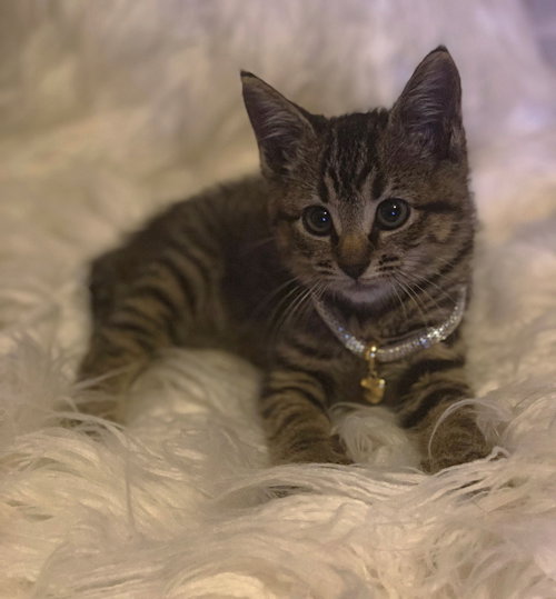 Lucy