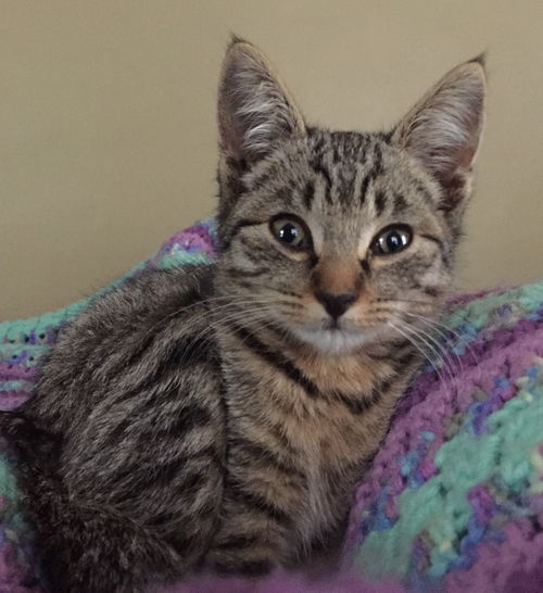 Maggie