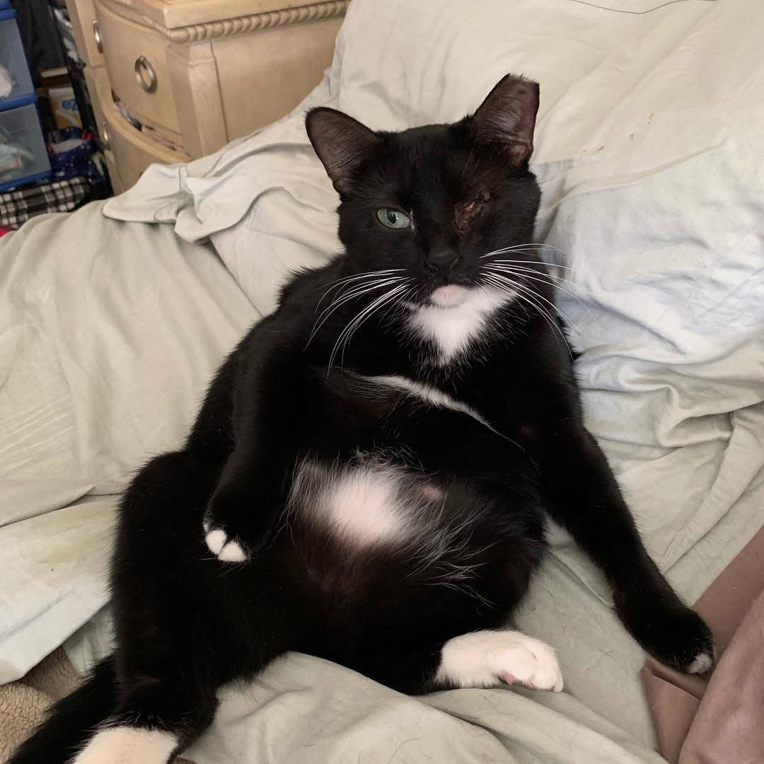 Minnie