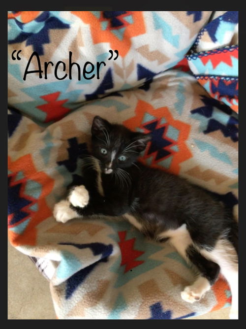 Archer