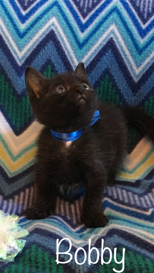 Bobby