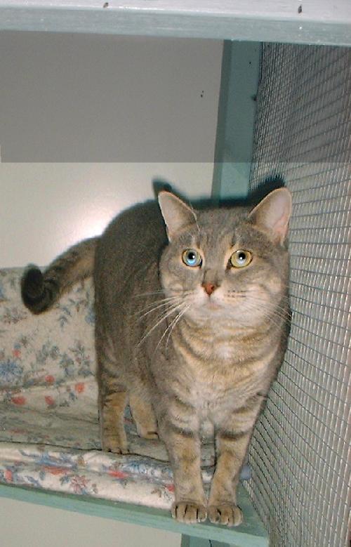 Butterball