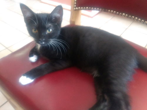 Bartholomew