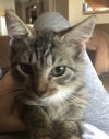 Spenser Fluffypants