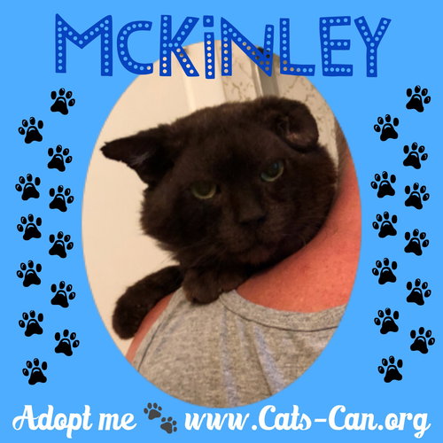 McKinley
