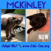 McKinley