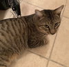 McLovin the Loving Sweetheart