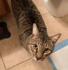 McLovin the Loving Sweetheart