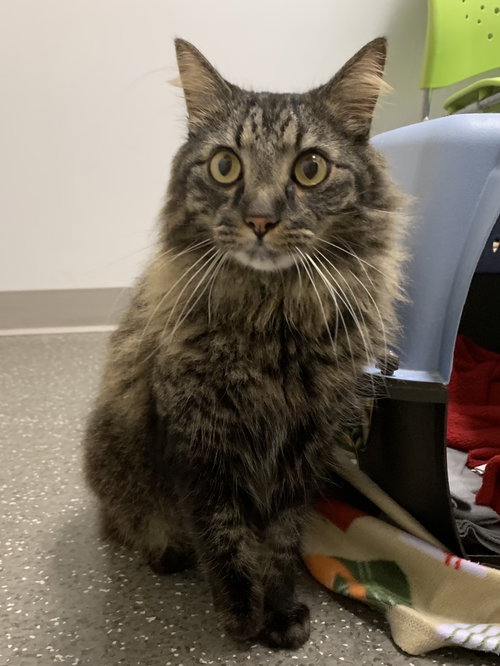 Milo
