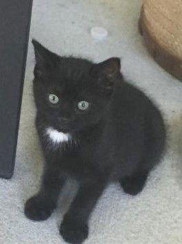 Salem