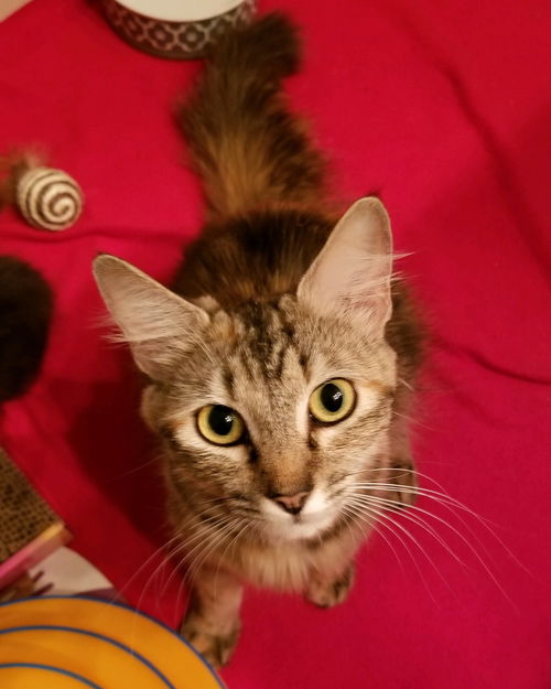Lena