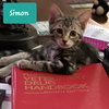 Simon