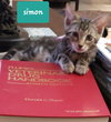 Simon