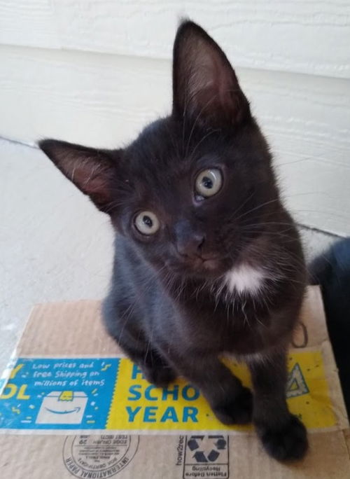 Zoe